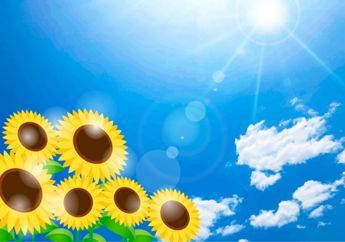 【お知らせ】8月の休診日